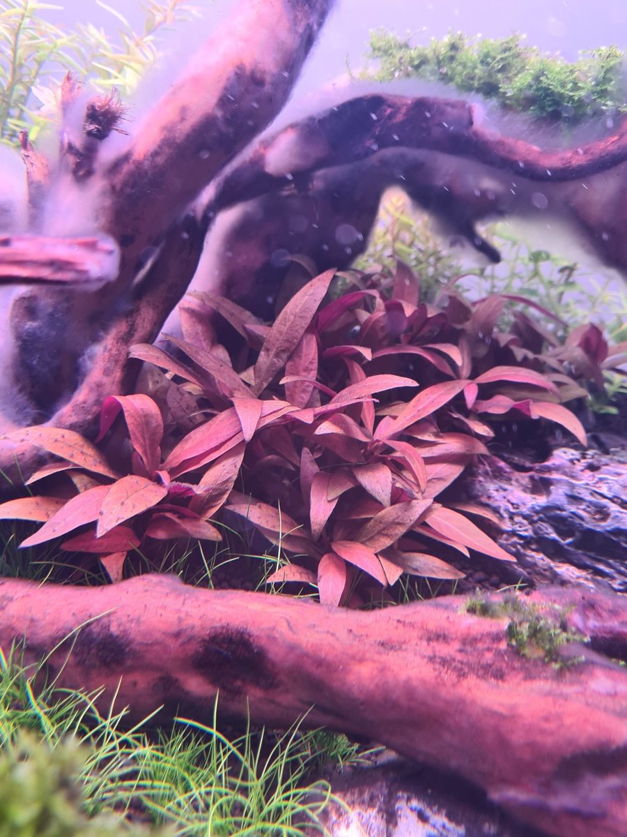 20201207_142310.jpg
