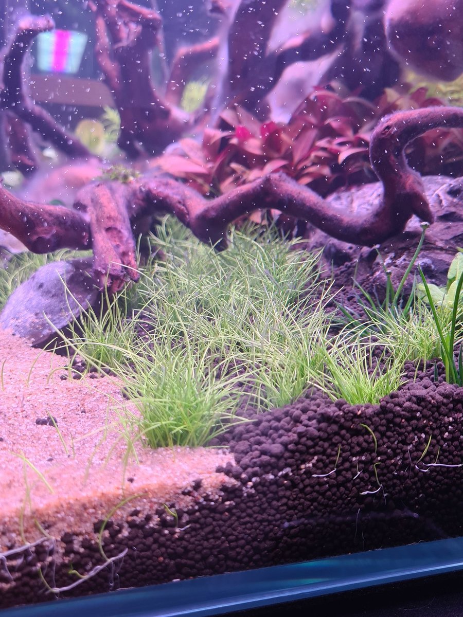 20201207_142328.jpg