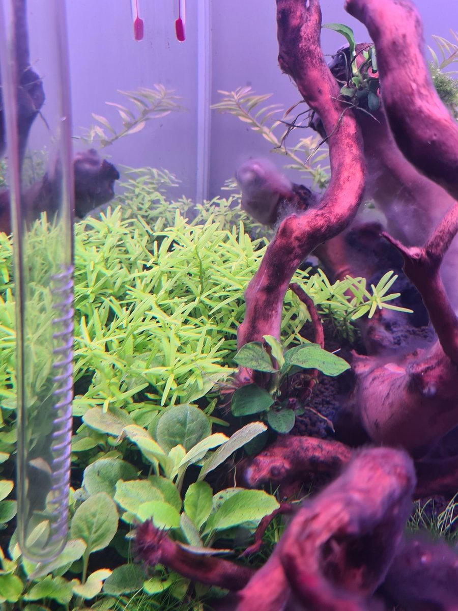 20201207_142345.jpg