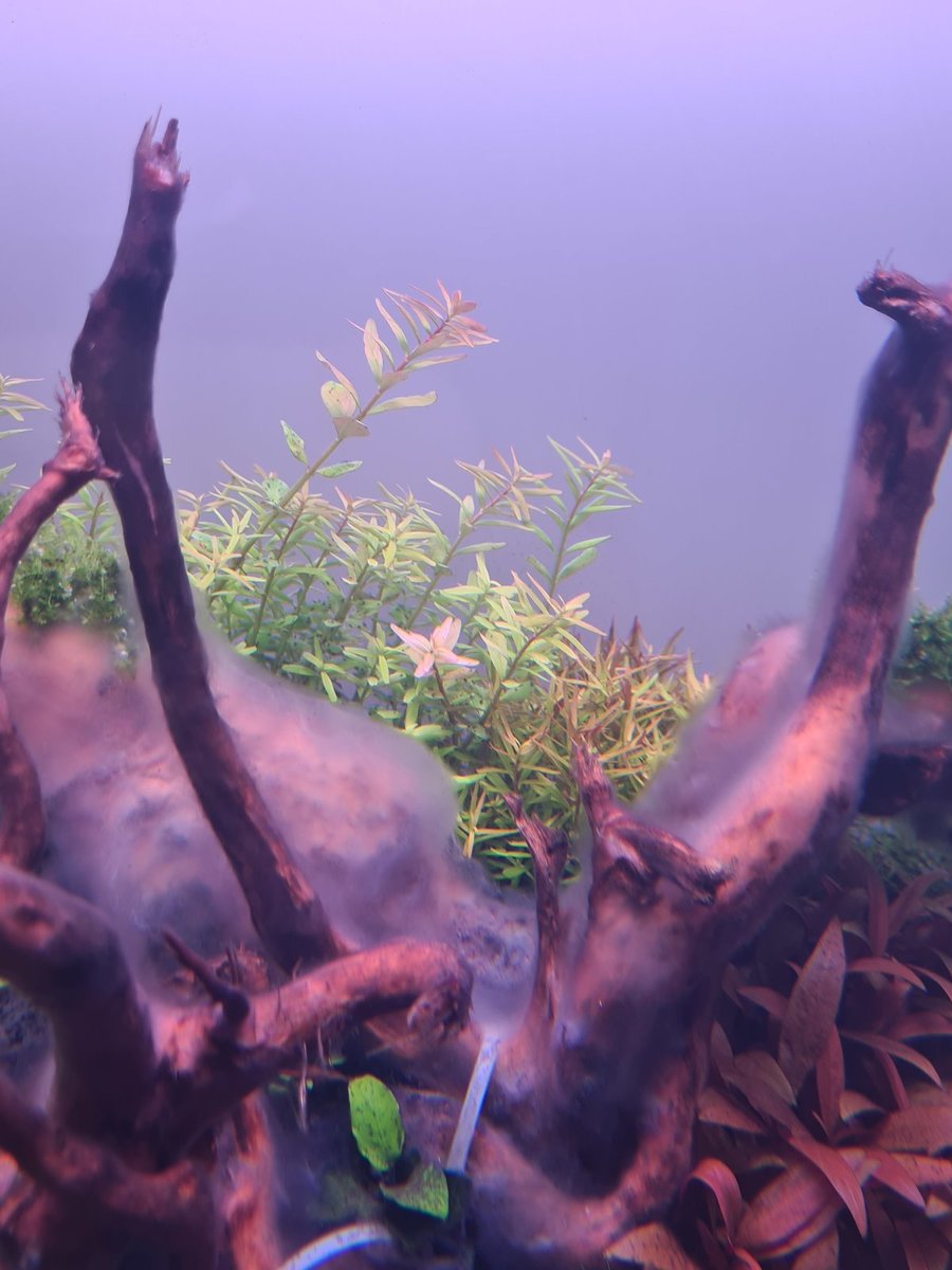 20201207_142354.jpg