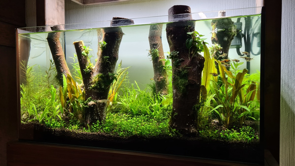 20201207_195055.jpg