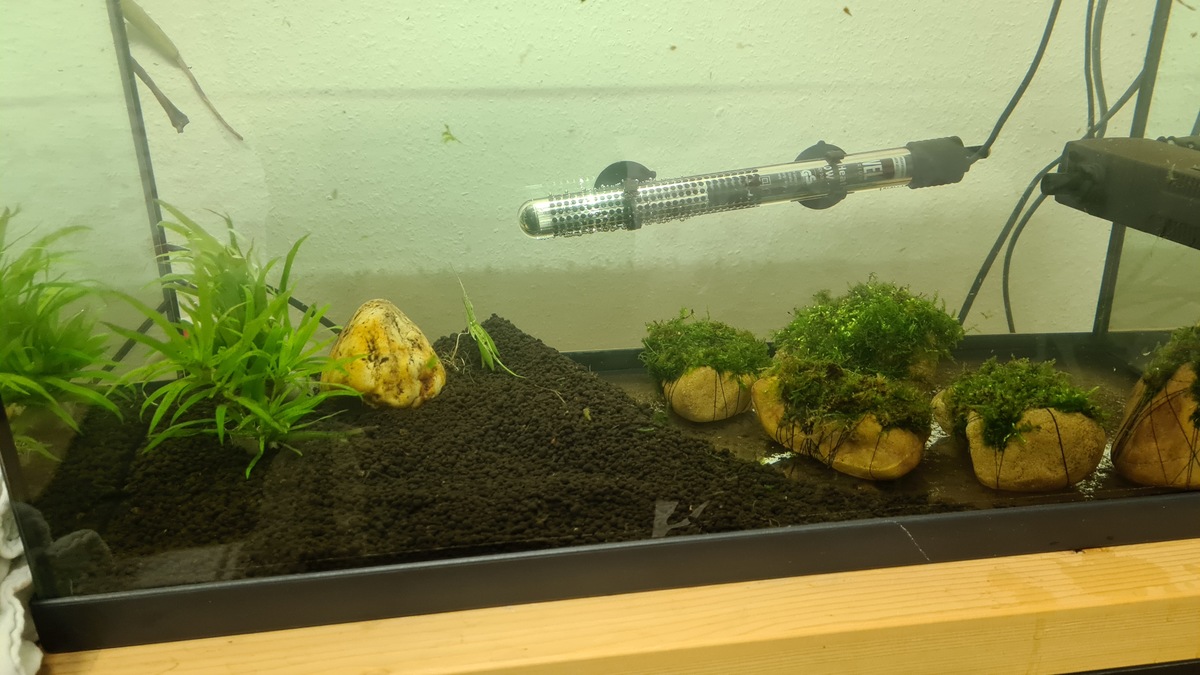 20201207_202338.jpg