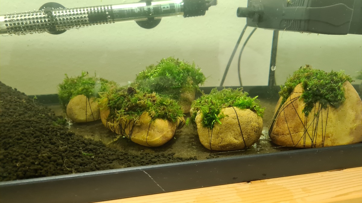 20201207_202346.jpg
