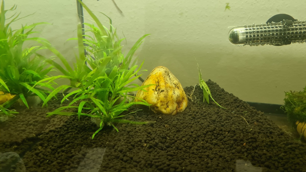 20201207_202353.jpg