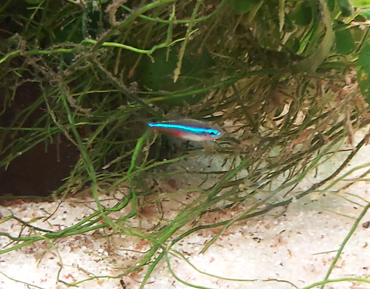 20201210_164916.jpg