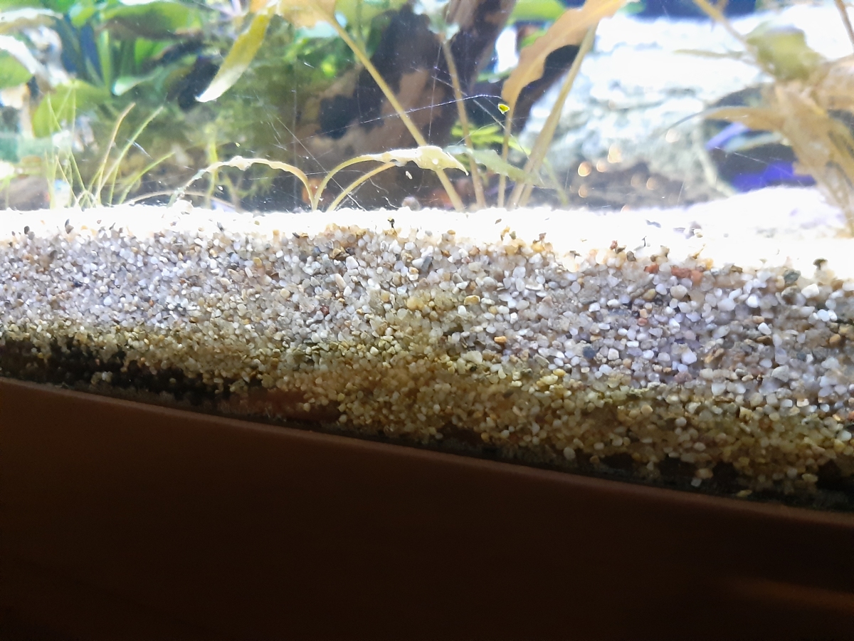 20201211_172324.jpg