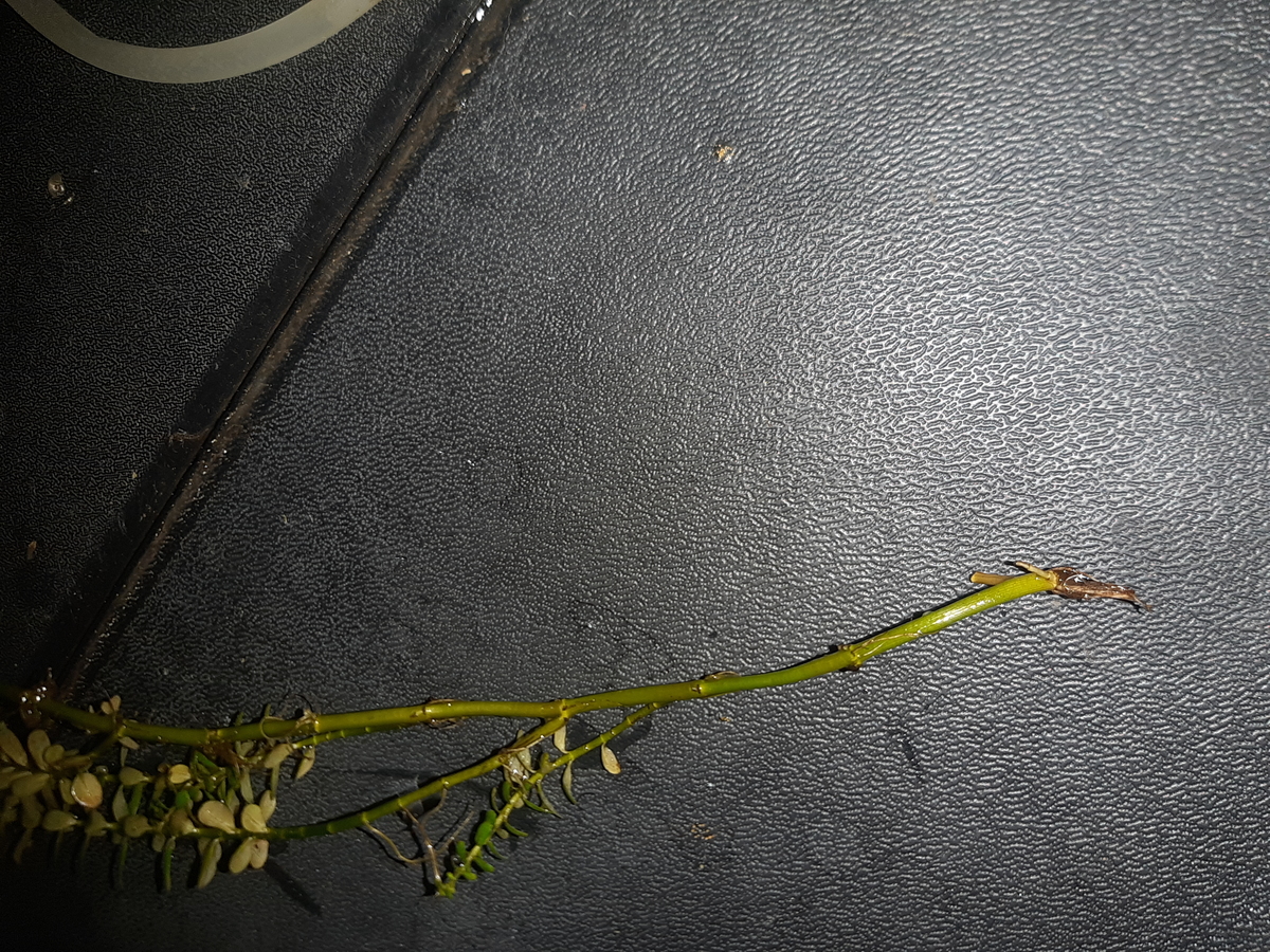 20201212_102340.jpg