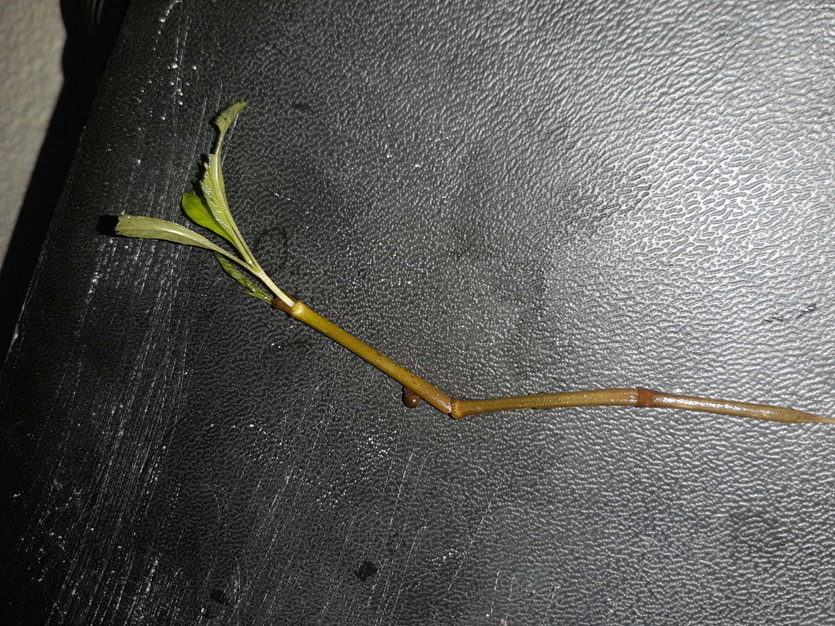 20201212_103142.jpg
