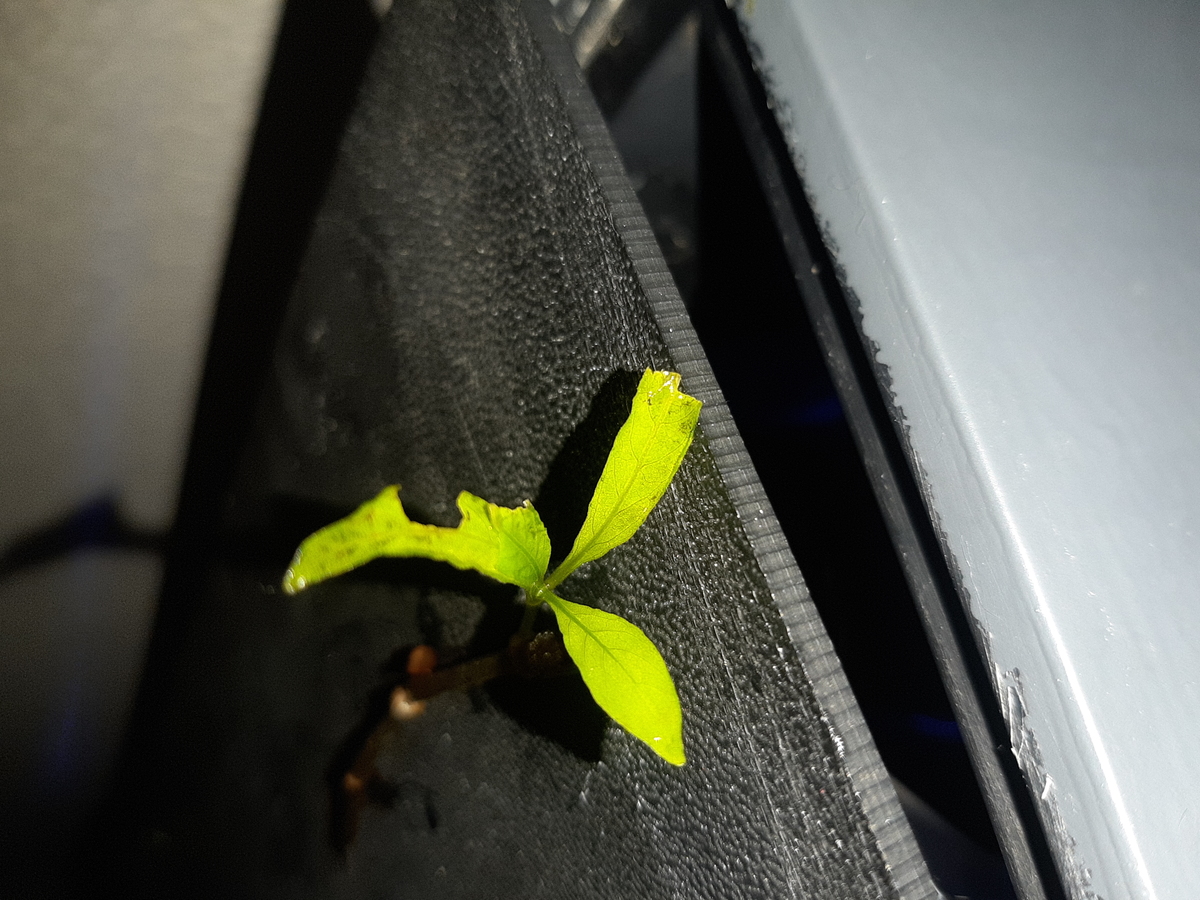 20201212_103216.jpg