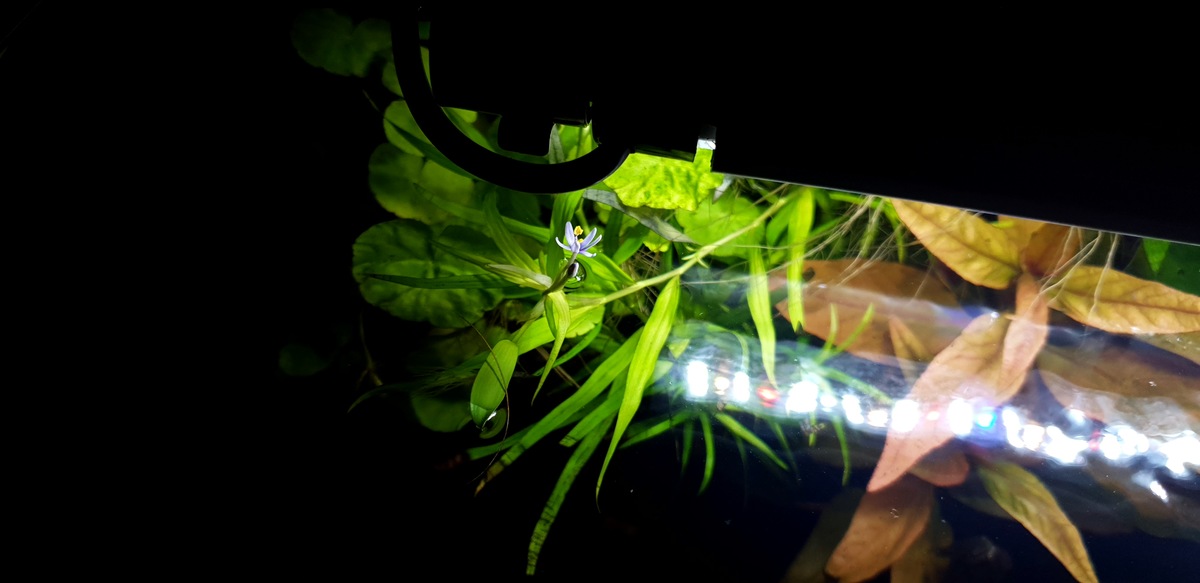 20201214_153912.jpg
