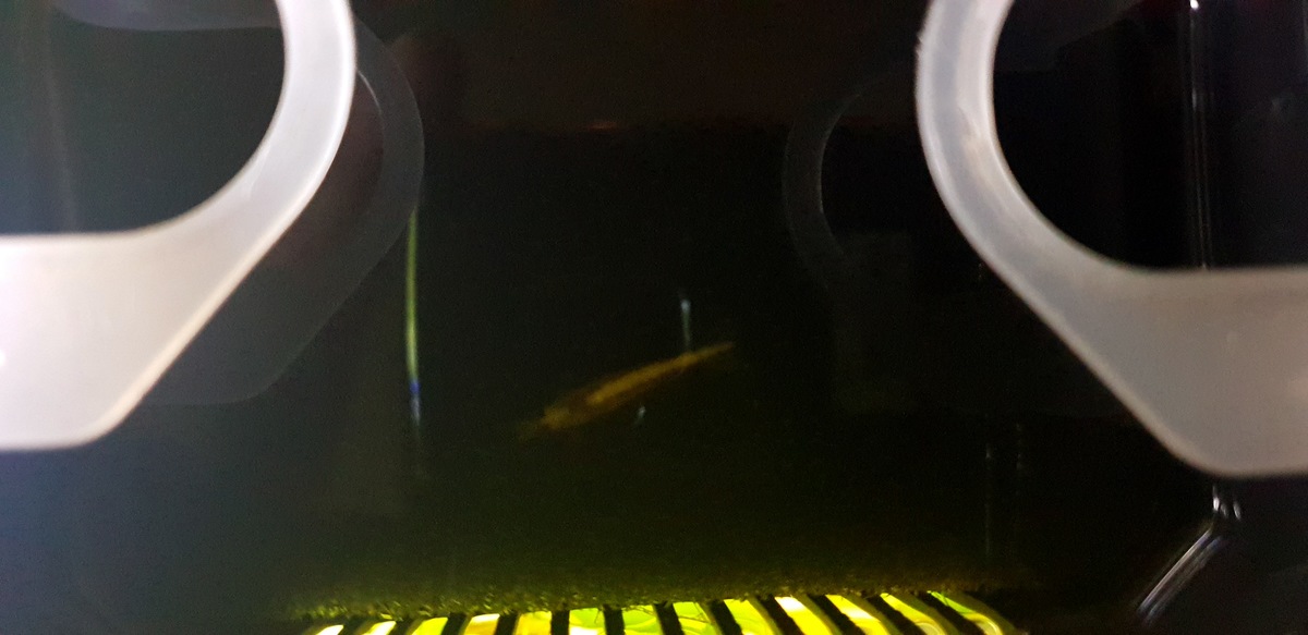 20201214_153949.jpg