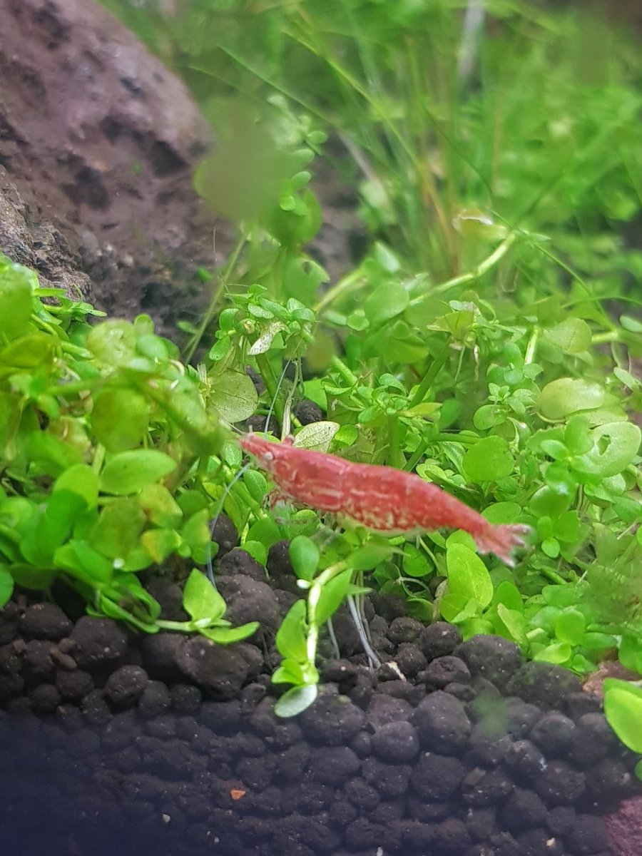 20201217_232631.jpg