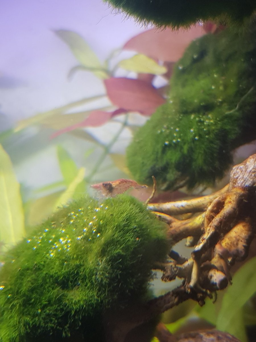 20201217_232651.jpg