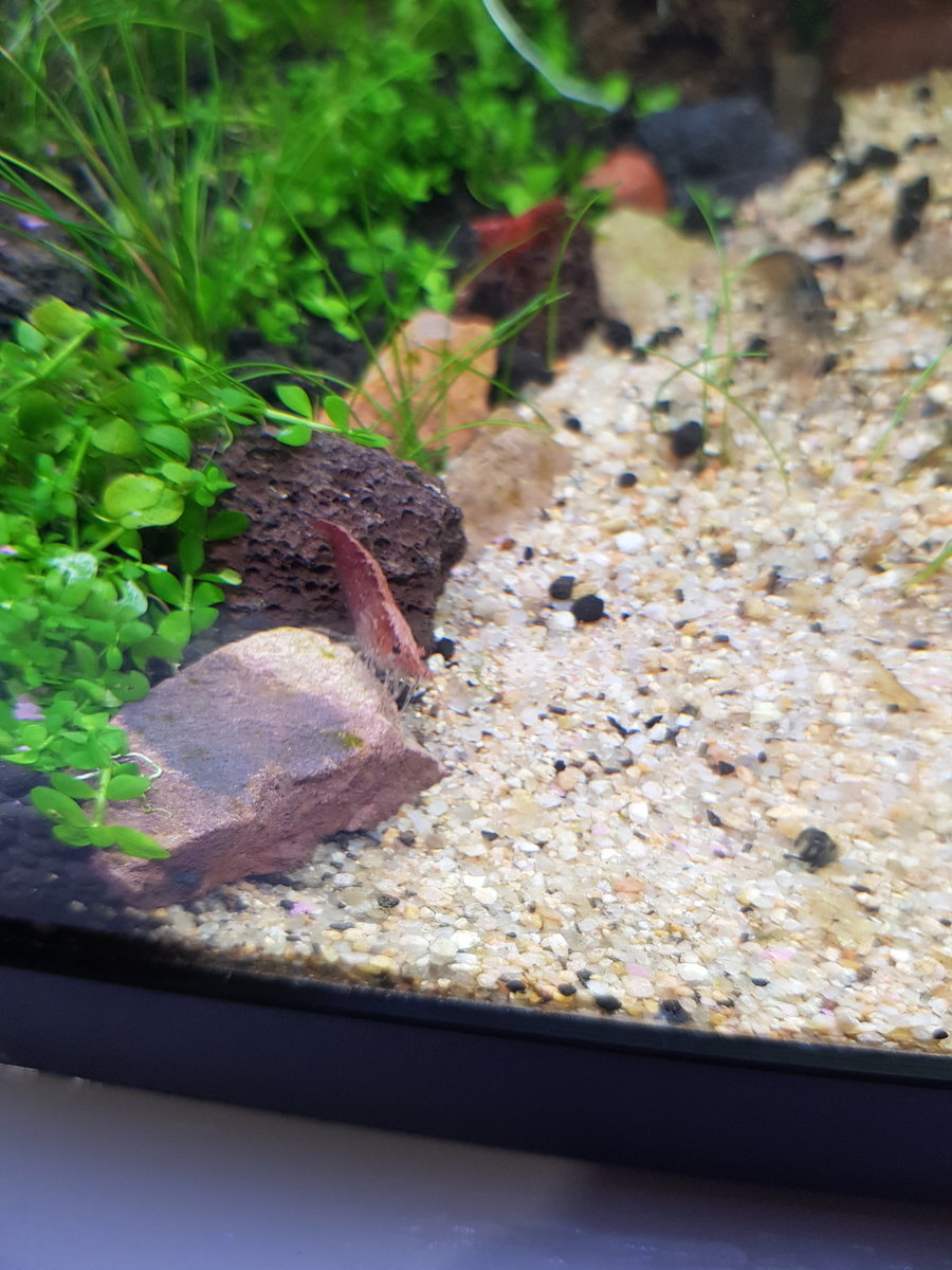 20201218_230117.jpg