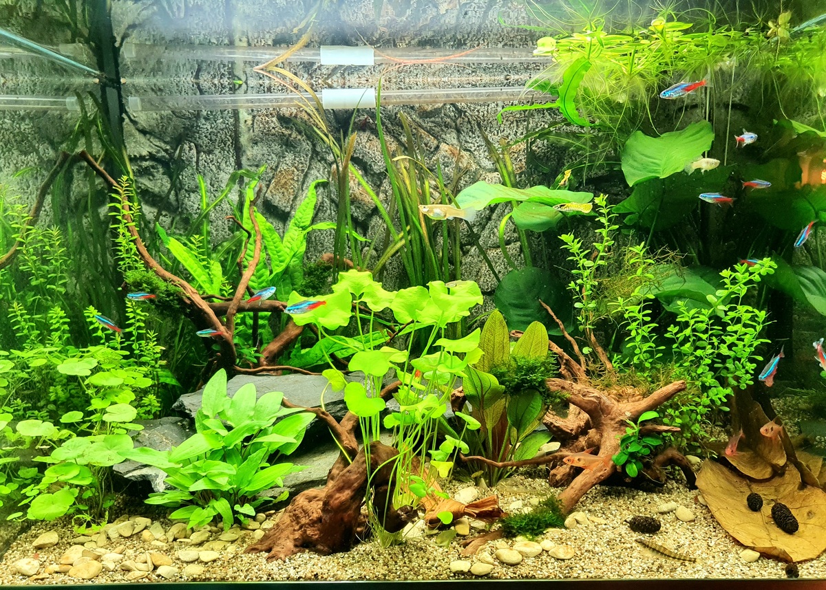 20201220_132716.jpg
