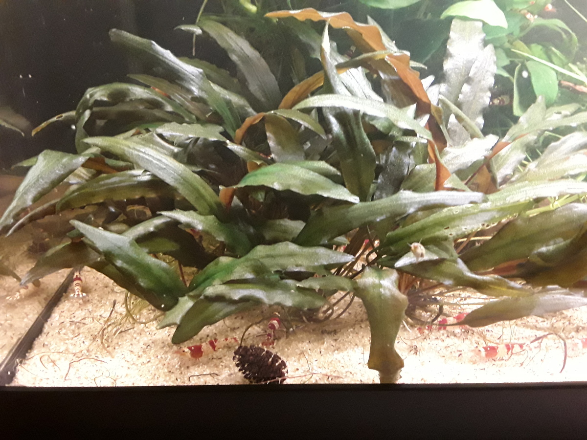 20201220_194554.jpg