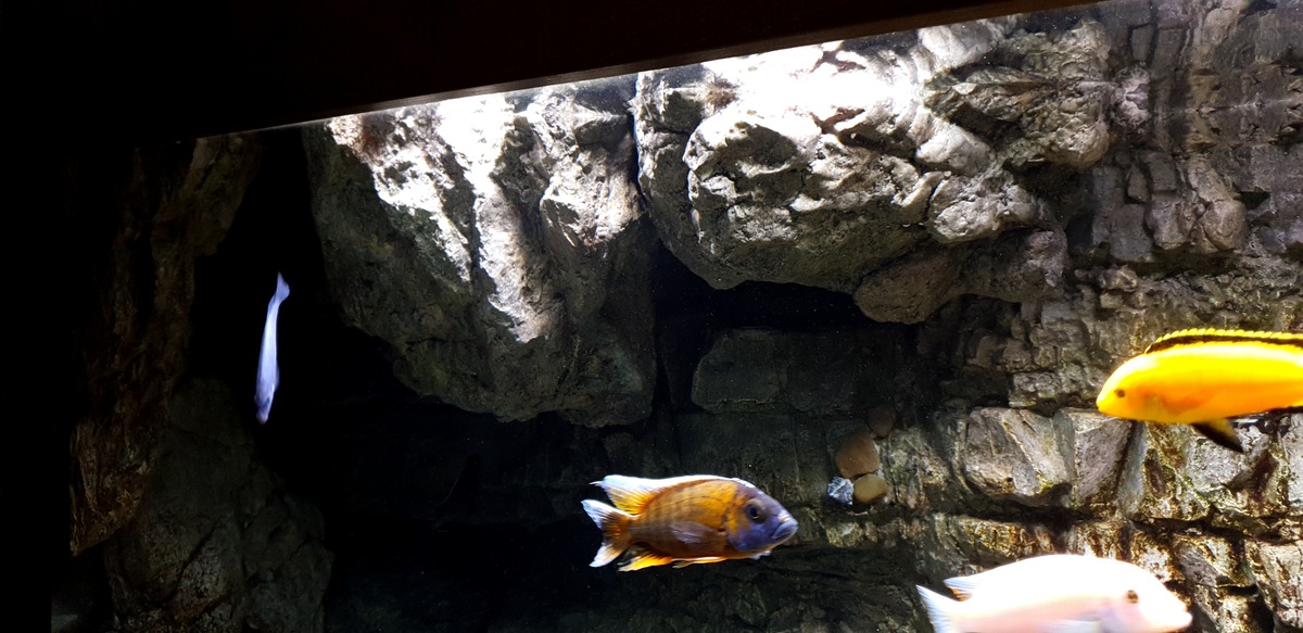20201221_144206.jpg
