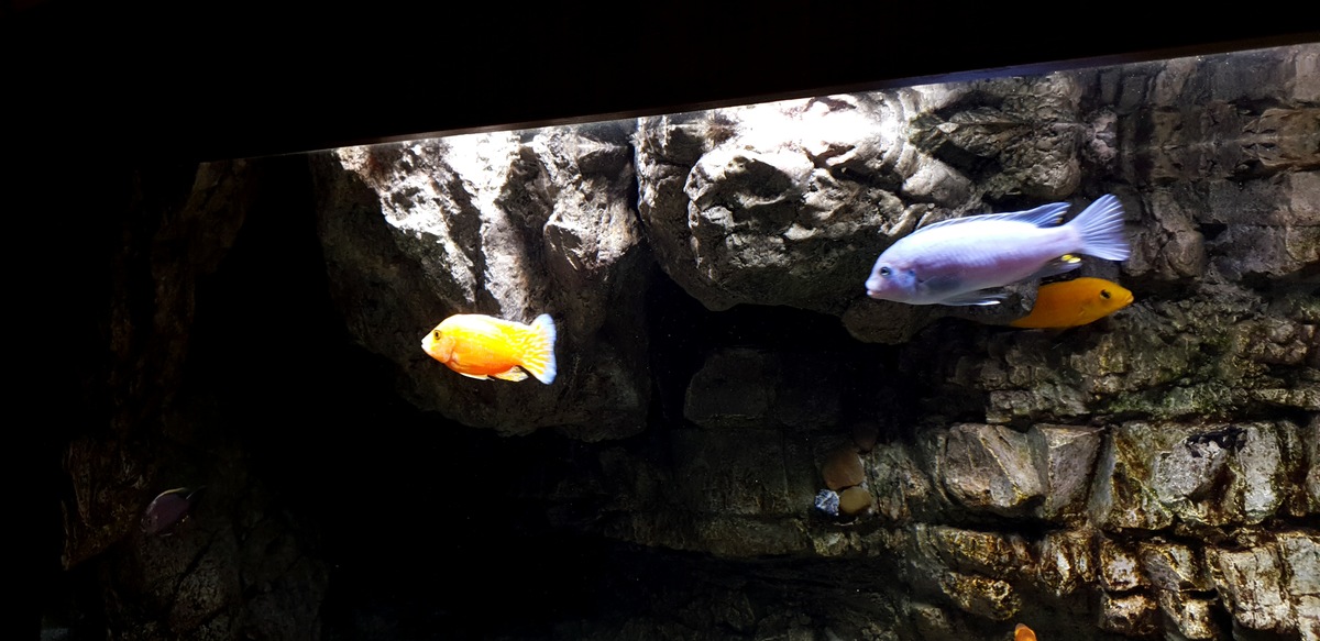 20201221_144210.jpg