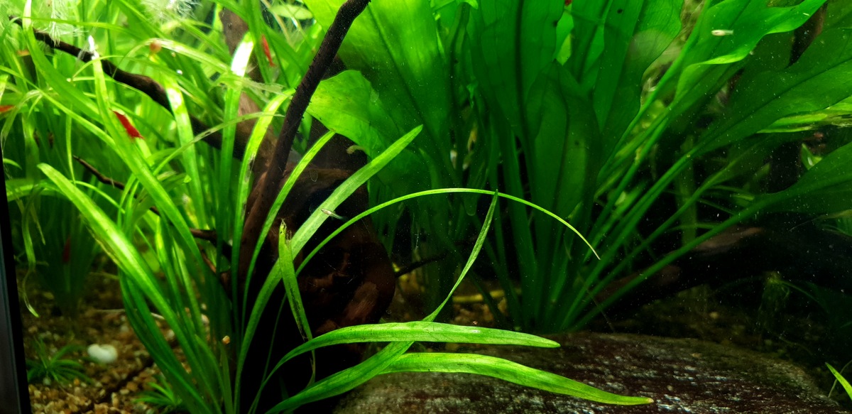 20201221_154427.jpg