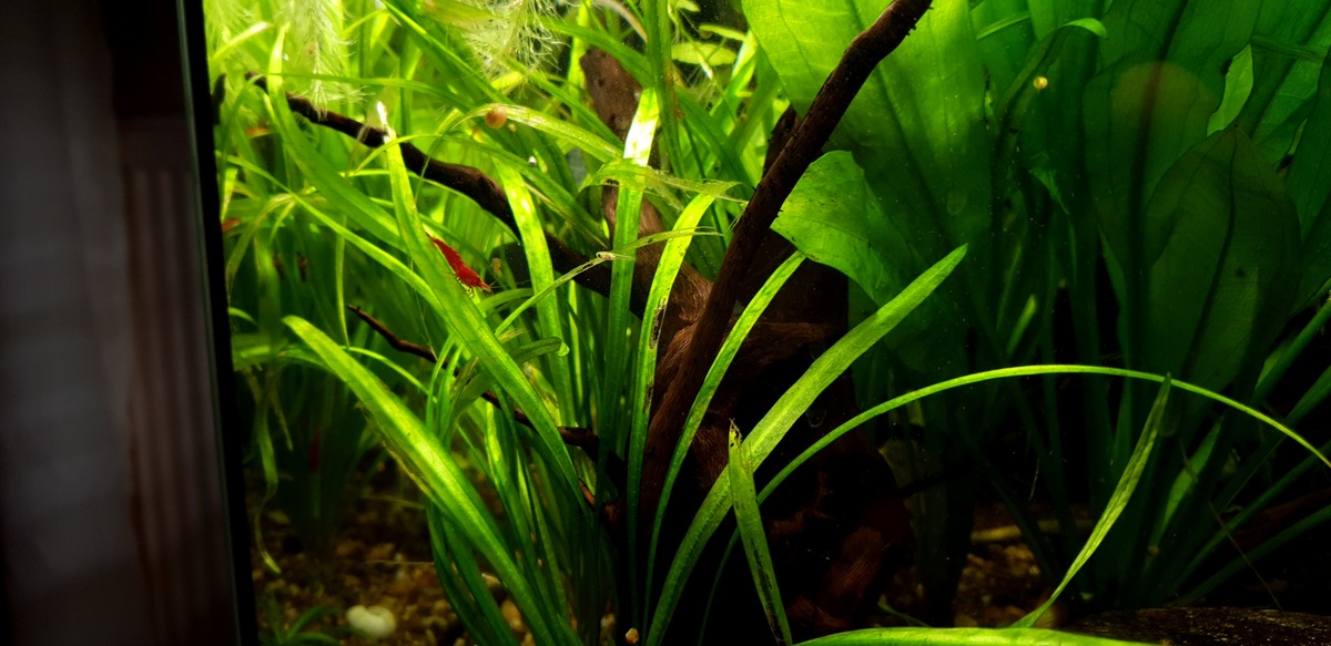 20201221_154430.jpg