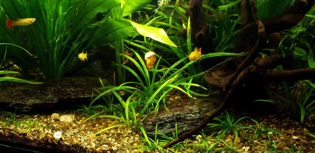 20201221_154434.jpg