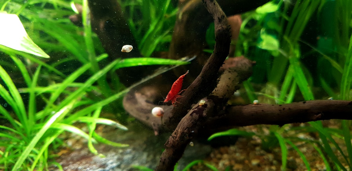 20201221_160417.jpg