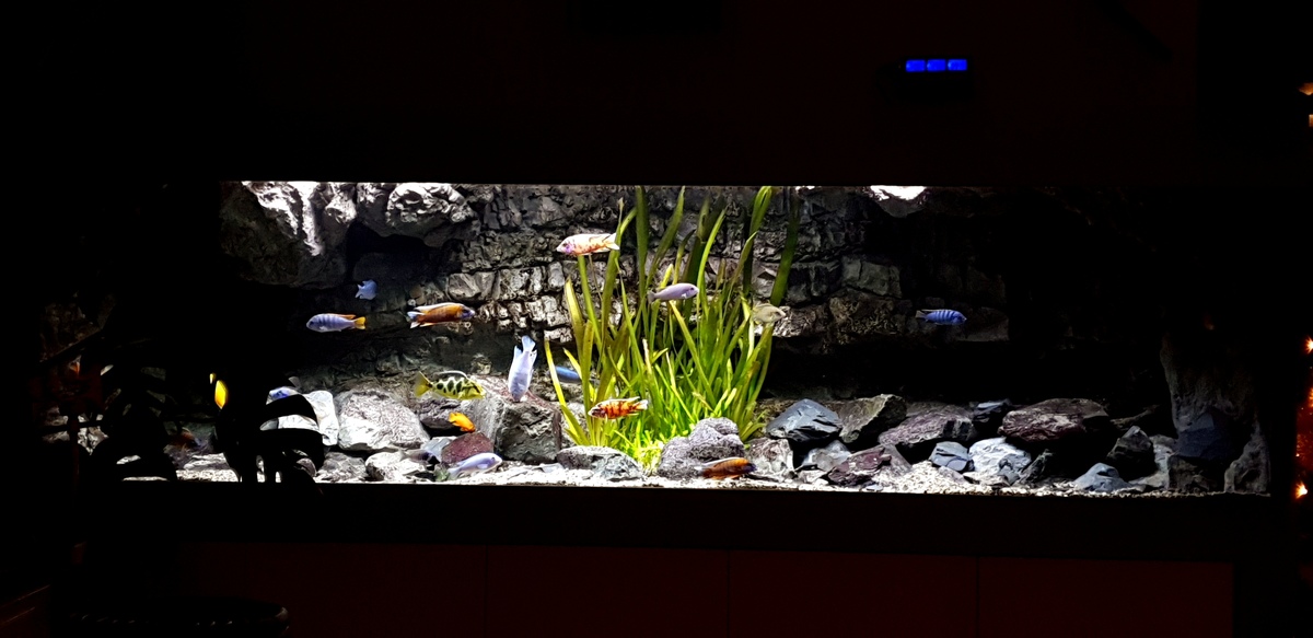 20201221_174158.jpg