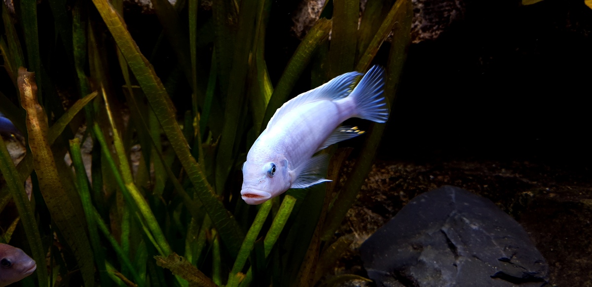 20201222_120327.jpg