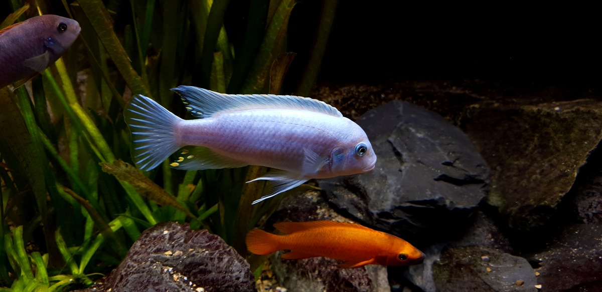 20201222_120333.jpg