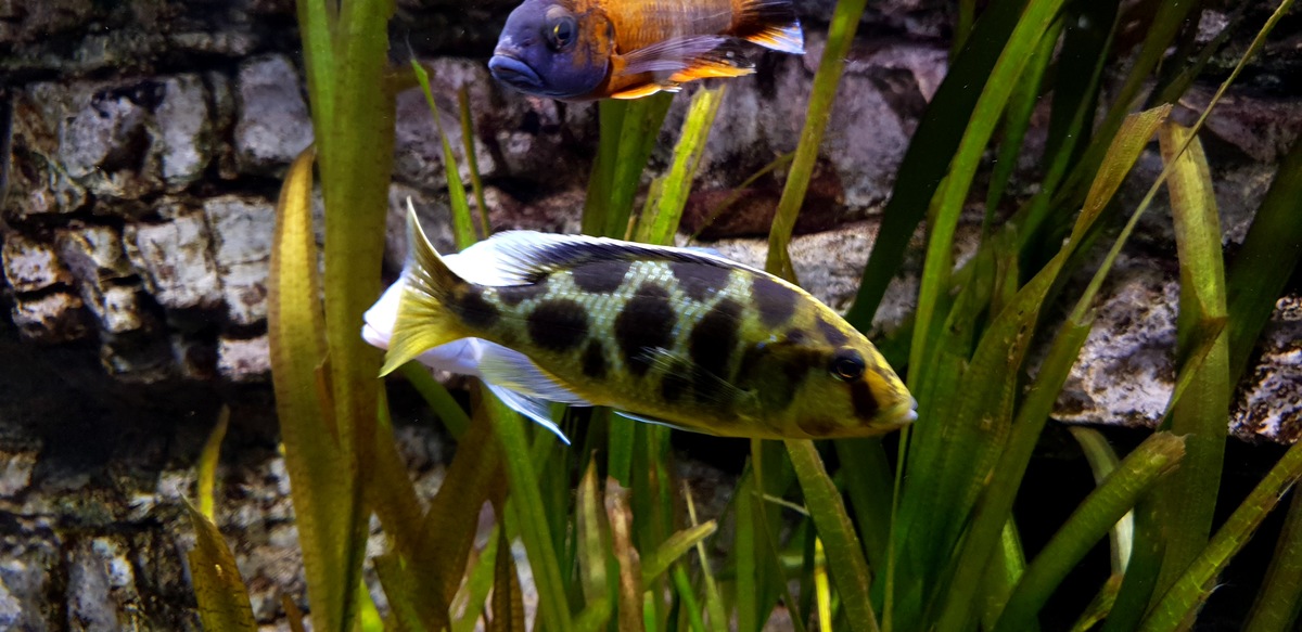20201222_120418.jpg