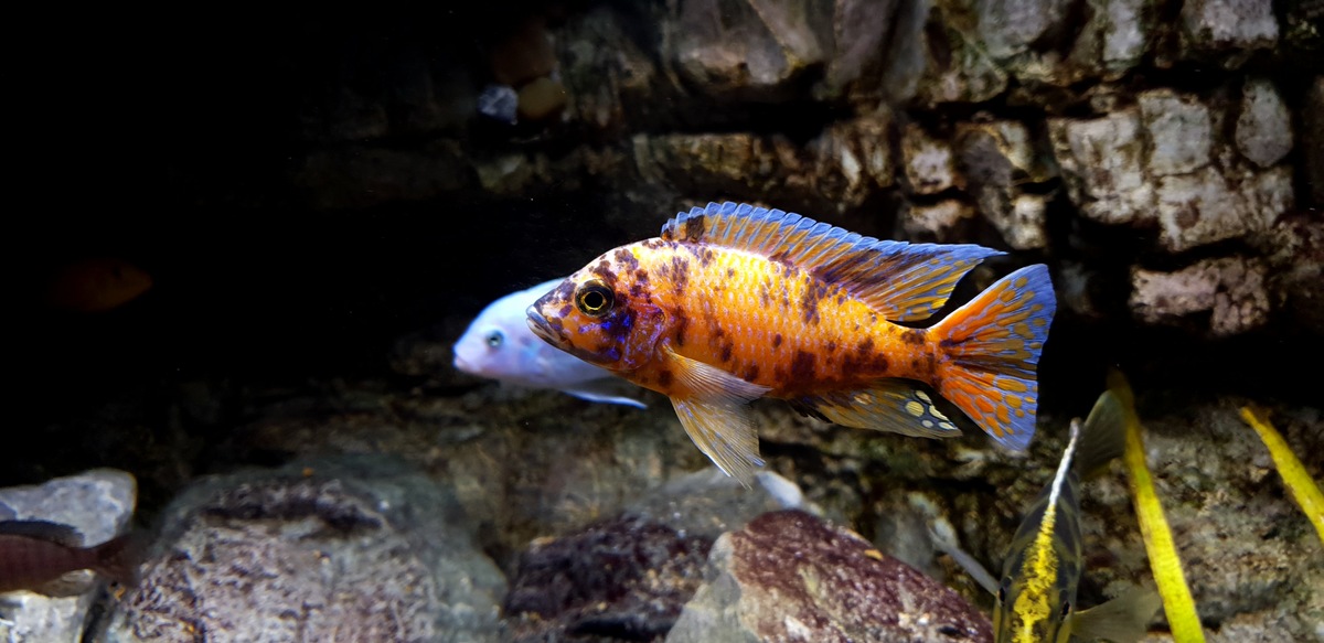 20201222_120442.jpg
