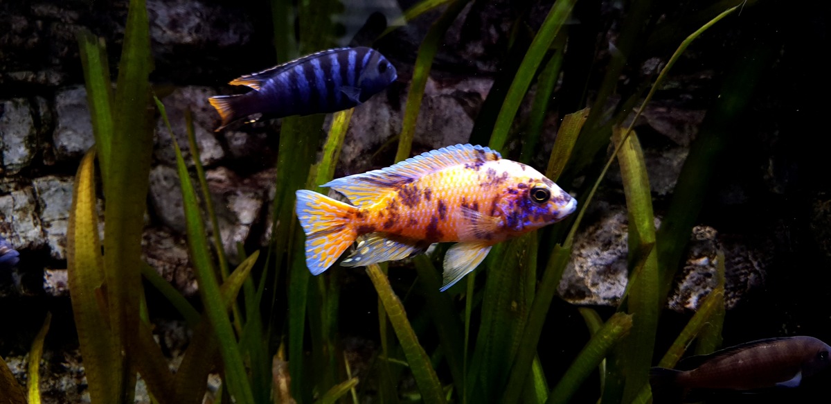 20201222_120509.jpg