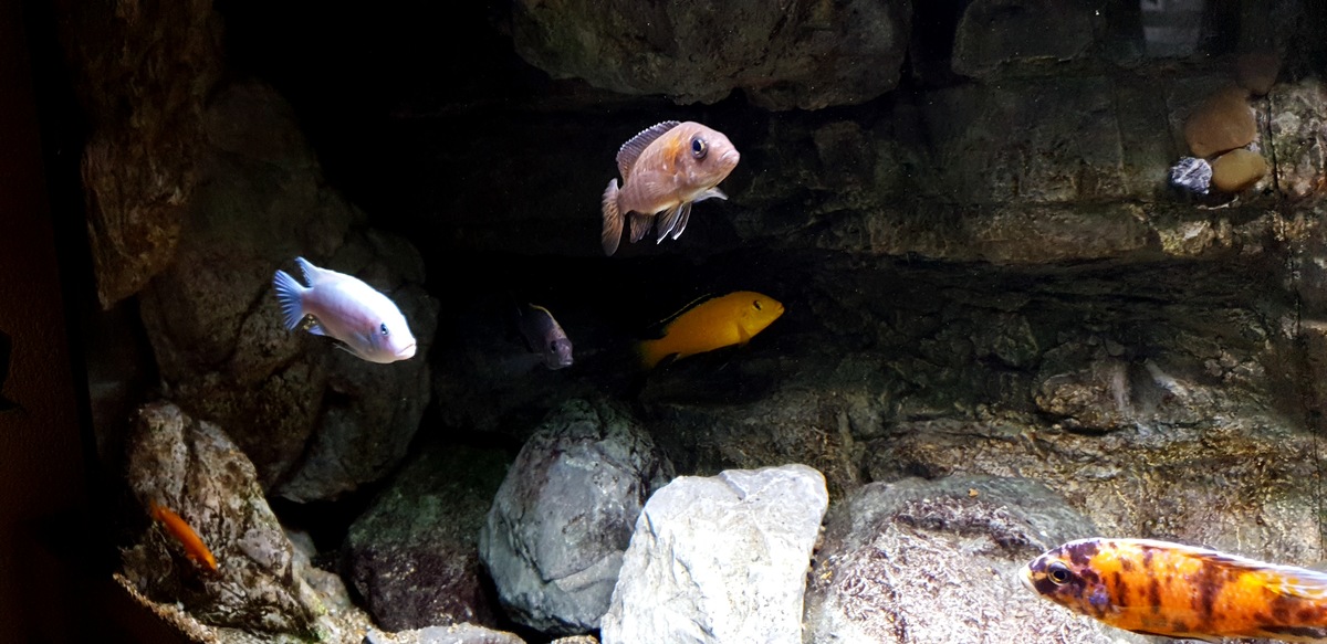 20201222_120524.jpg