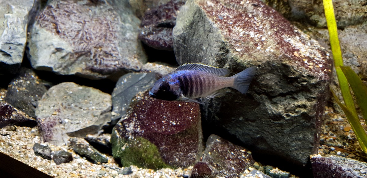 20201222_120530.jpg