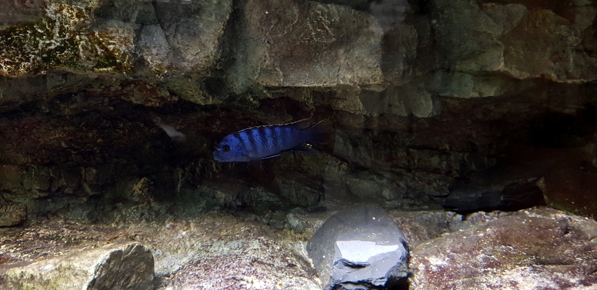 20201222_120542.jpg