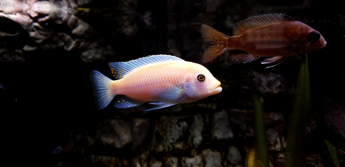 20201222_120608.jpg