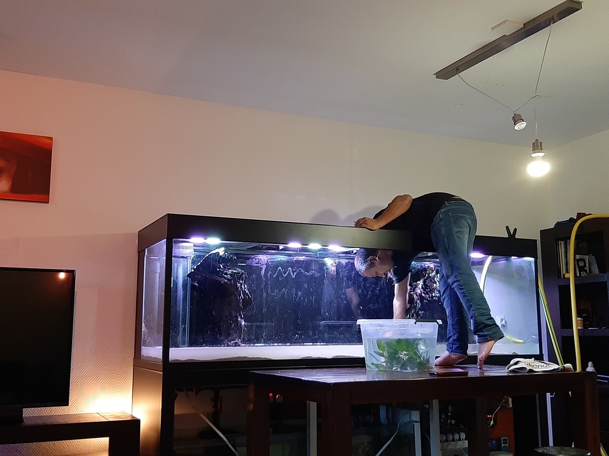 20201226_142833.jpg