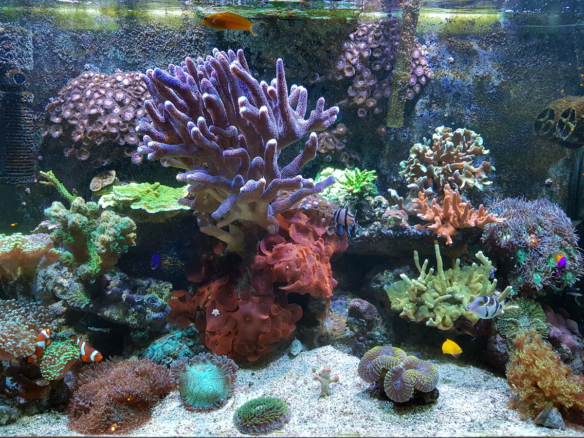 20201226_183942.jpg