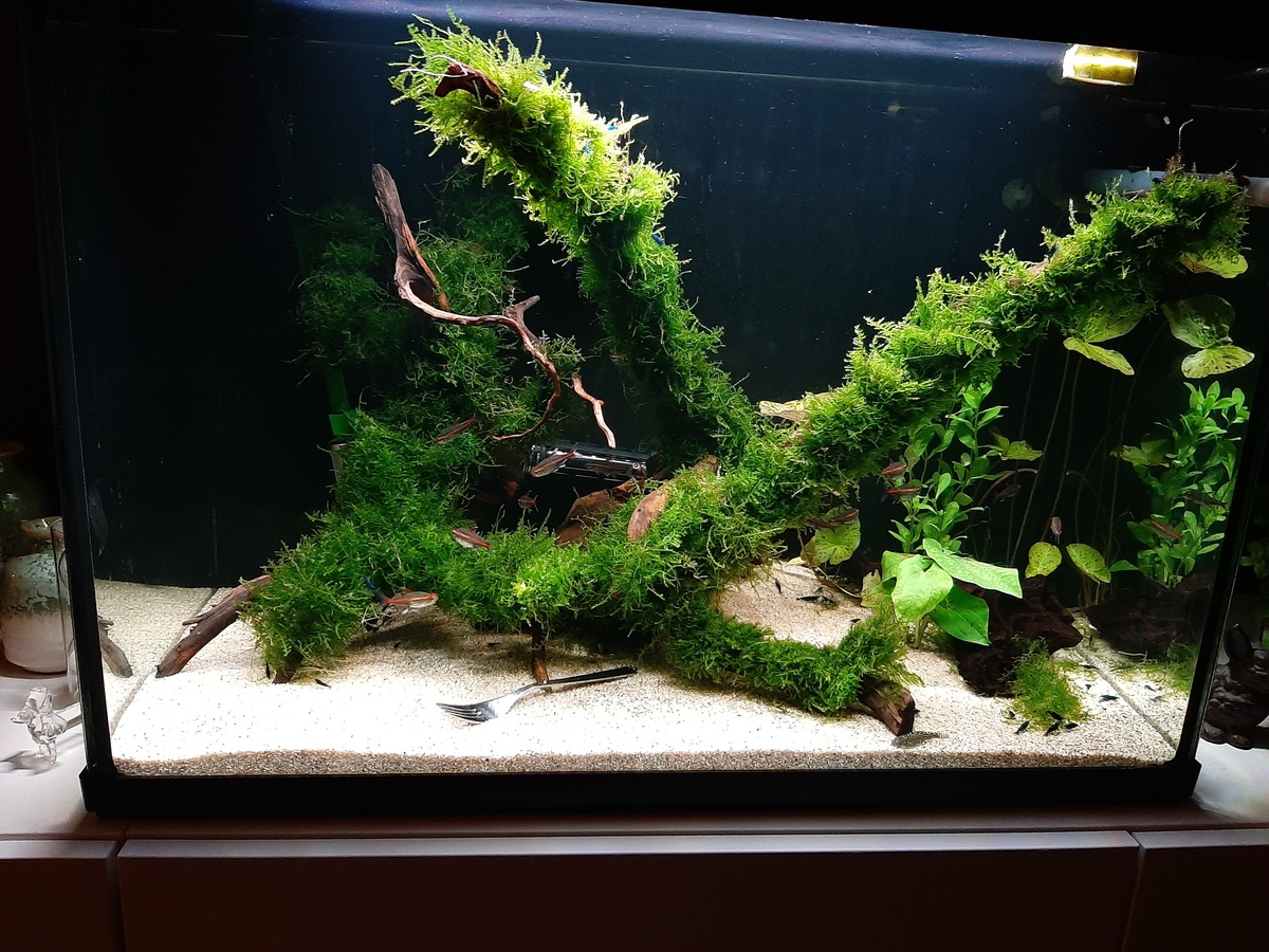 20201226_200647.jpg