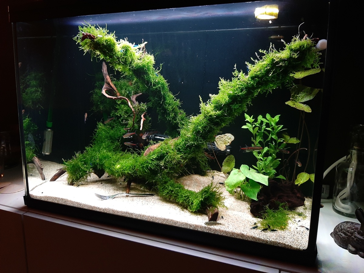 20201226_200654.jpg