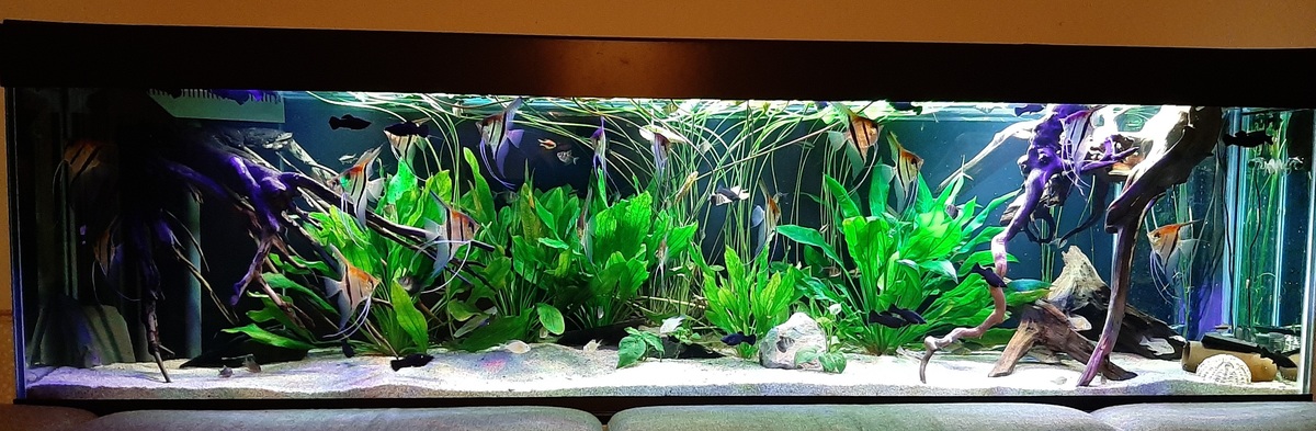 20201226_201106.jpg