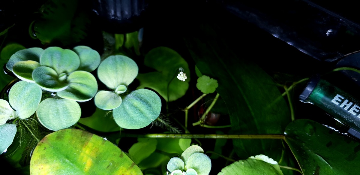 20201227_160931.jpg