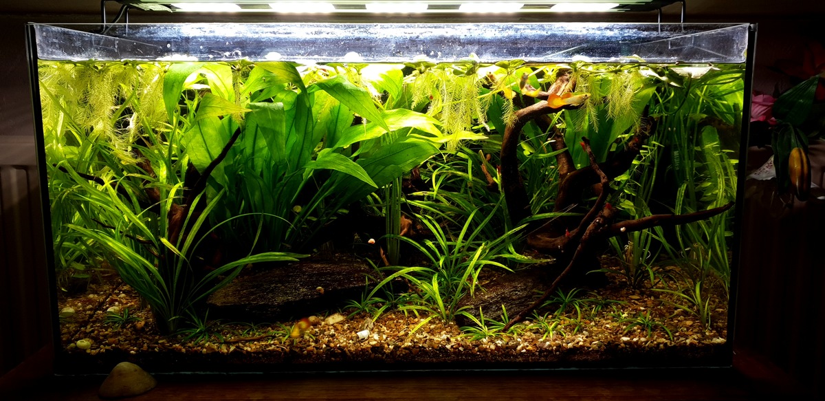 20201227_160957.jpg