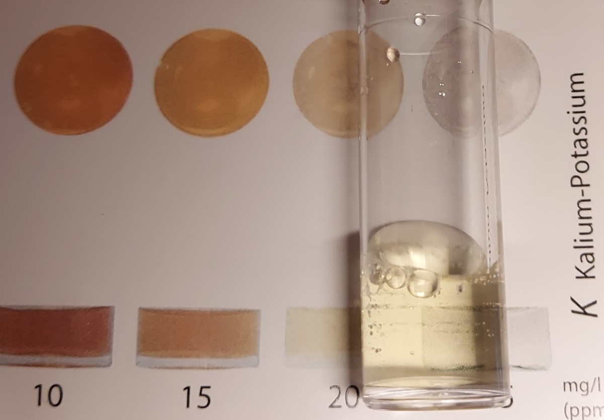 20201227_194718.jpg