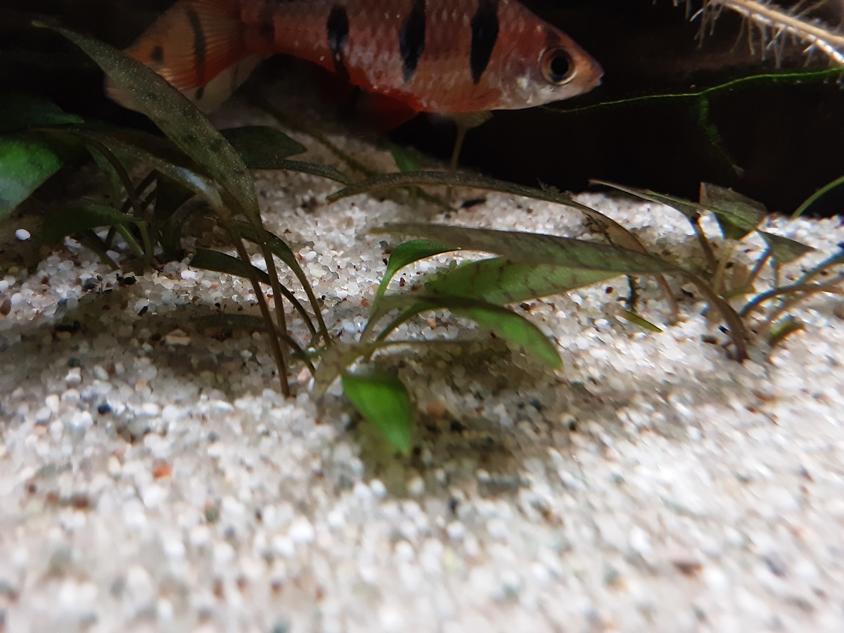 20201230_154722.jpg