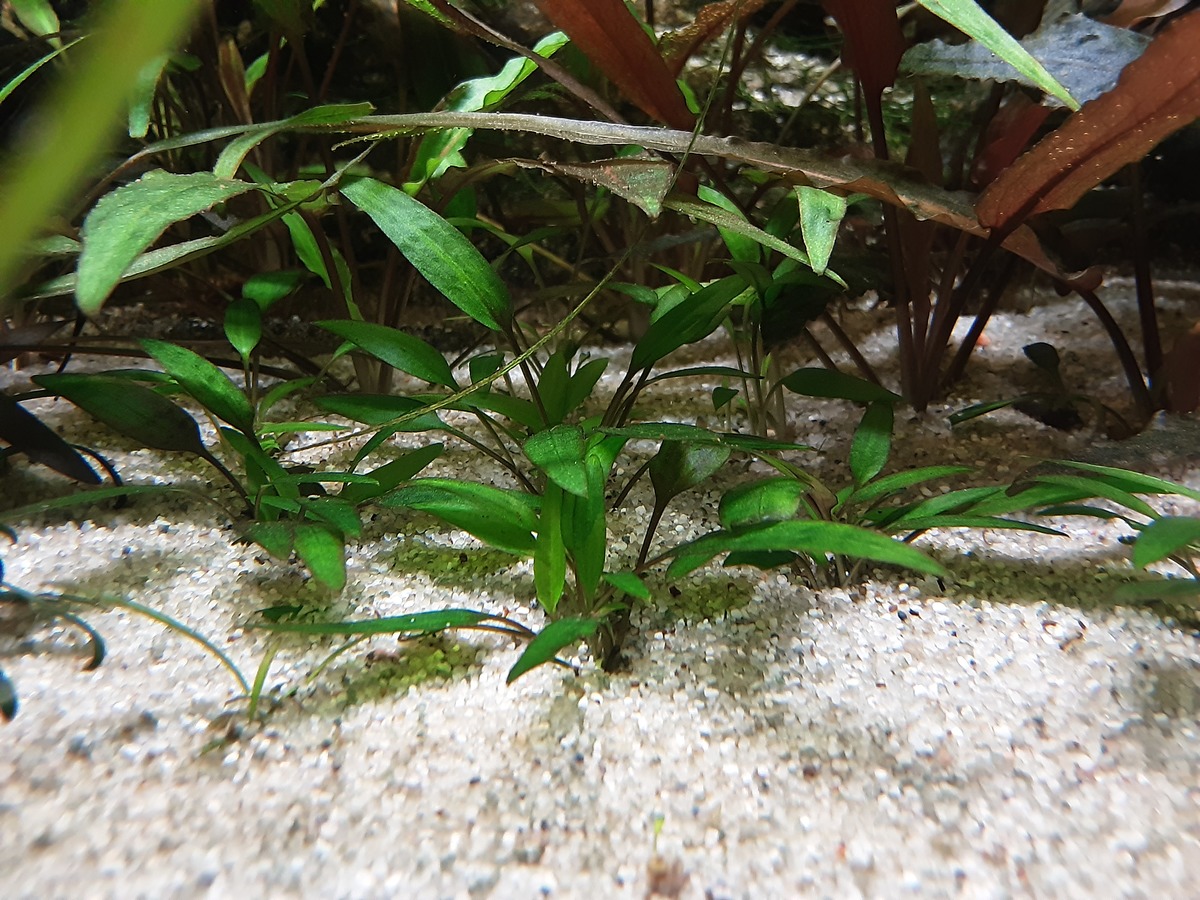 20201230_154832.jpg