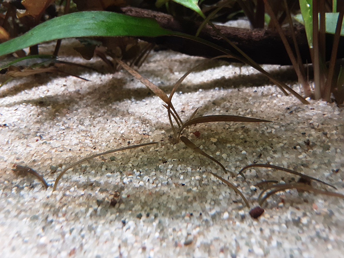 20201230_155333.jpg