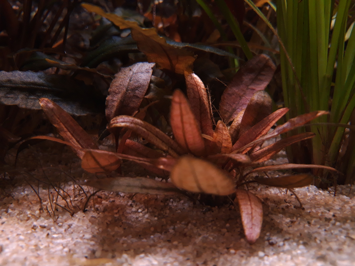 20201230_162656.jpg