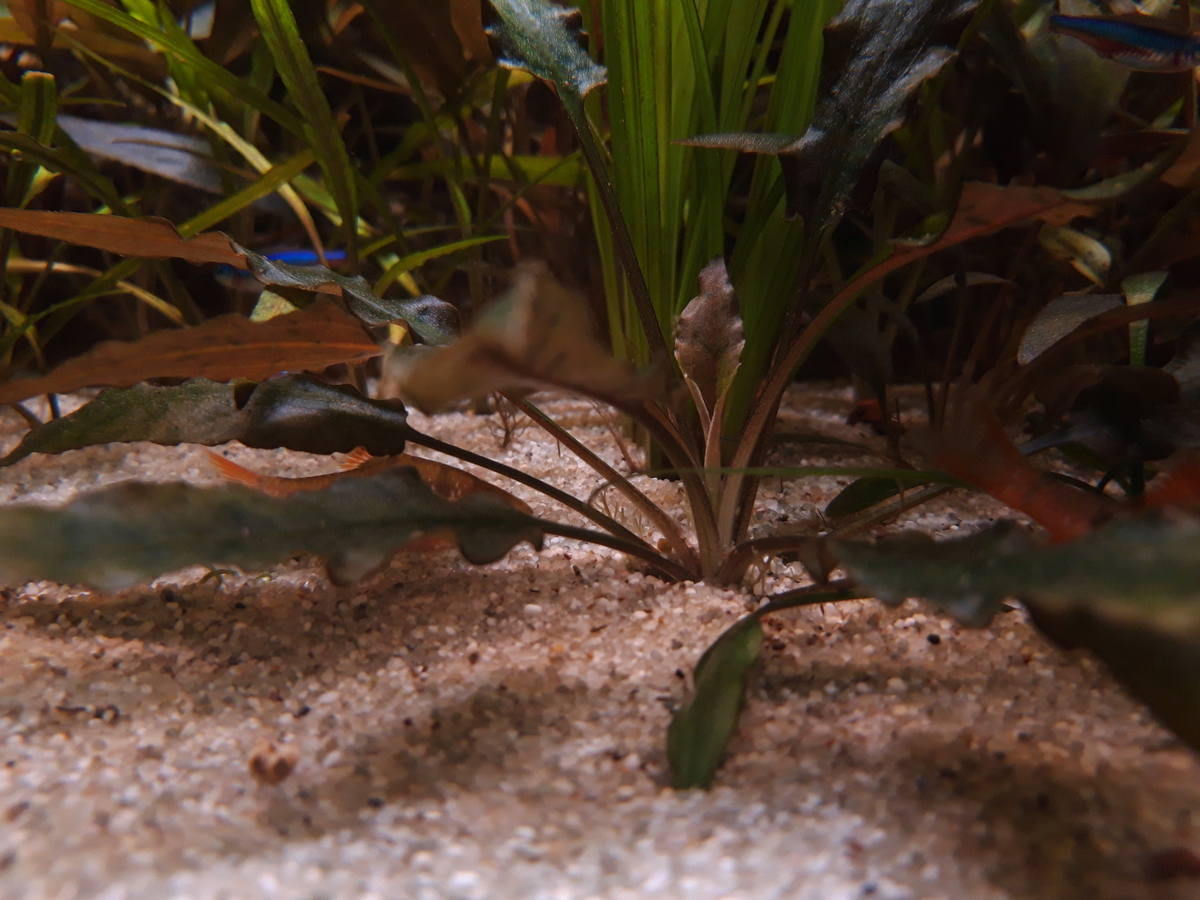 20201230_162708.jpg