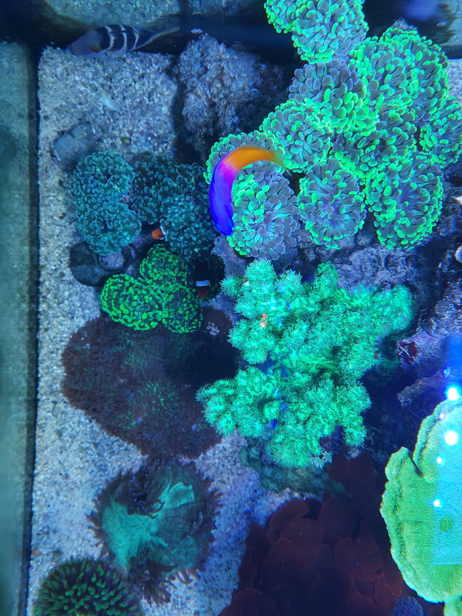 20201231_152120.jpg